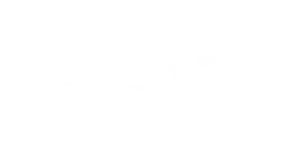 partners who work with 91club